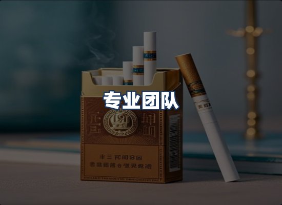 专业团队